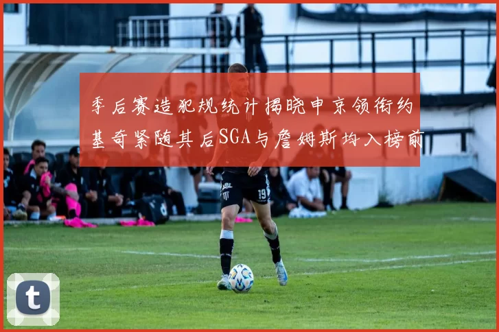 季后赛造犯规统计揭晓申京领衔约基奇紧随其后SGA与詹姆斯均入榜前十
