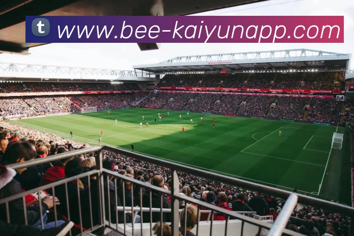 开云体育APP 高清赛事图